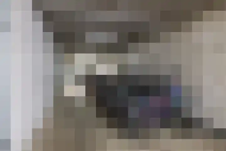 Het Hout 172 Groningen thumbnail 35