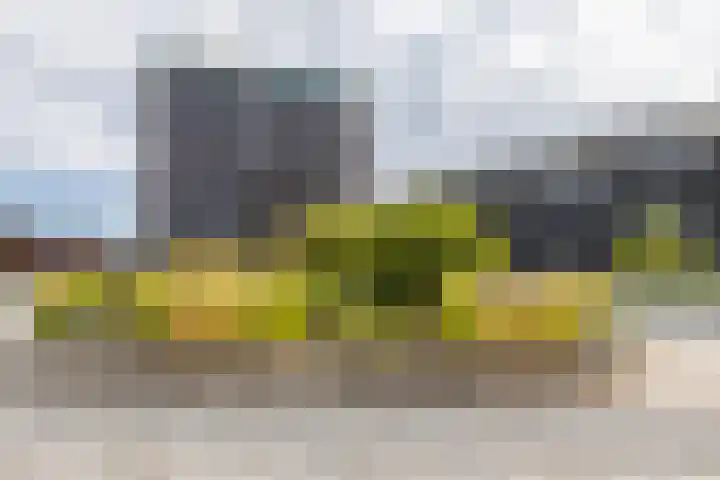 Het Hout 172 Groningen thumbnail 36