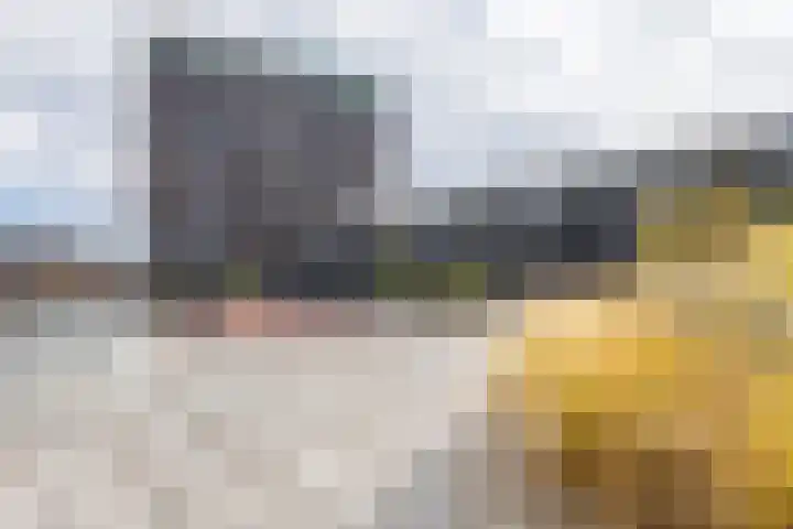 Het Hout 172 Groningen thumbnail 37
