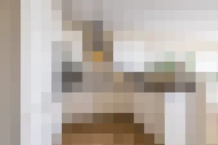 Het Hout 172 Groningen thumbnail 4