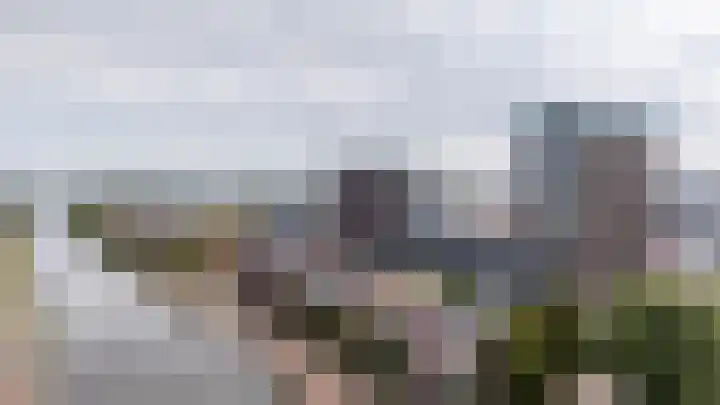 Het Hout 172 Groningen thumbnail 40
