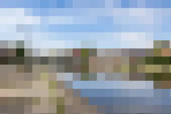 Het Hout 172 Groningen thumbnail 50