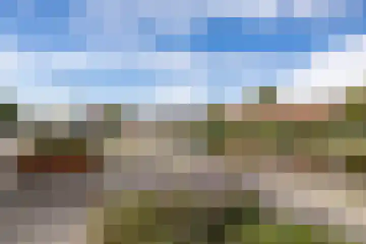 Het Hout 172 Groningen thumbnail 51