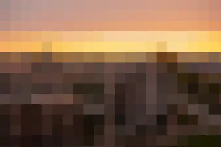 Het Hout 172 Groningen thumbnail 53