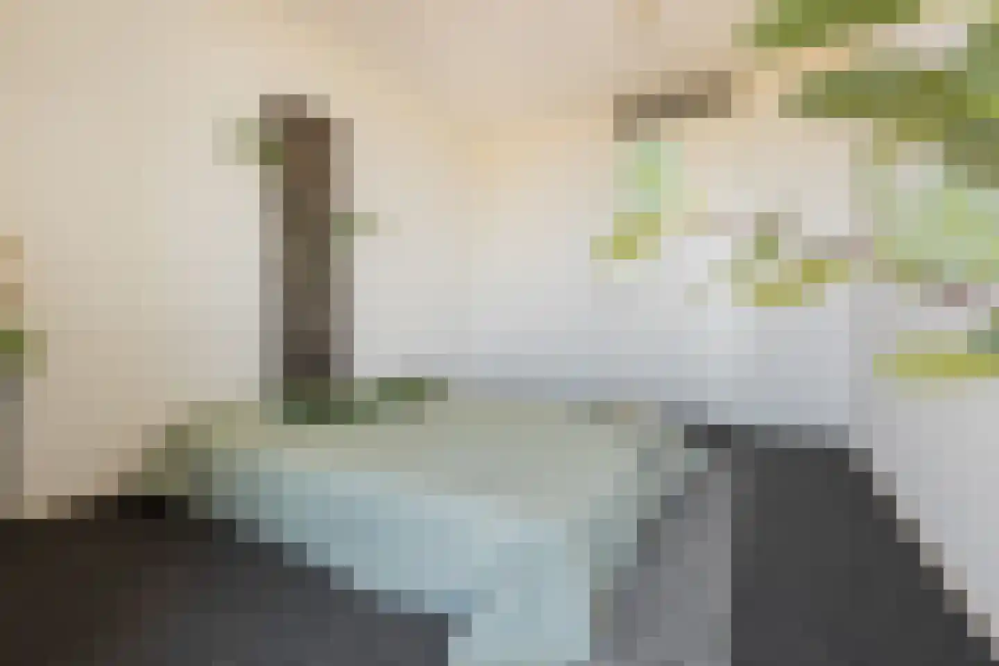 Het Hout 195 Groningen thumbnail 29
