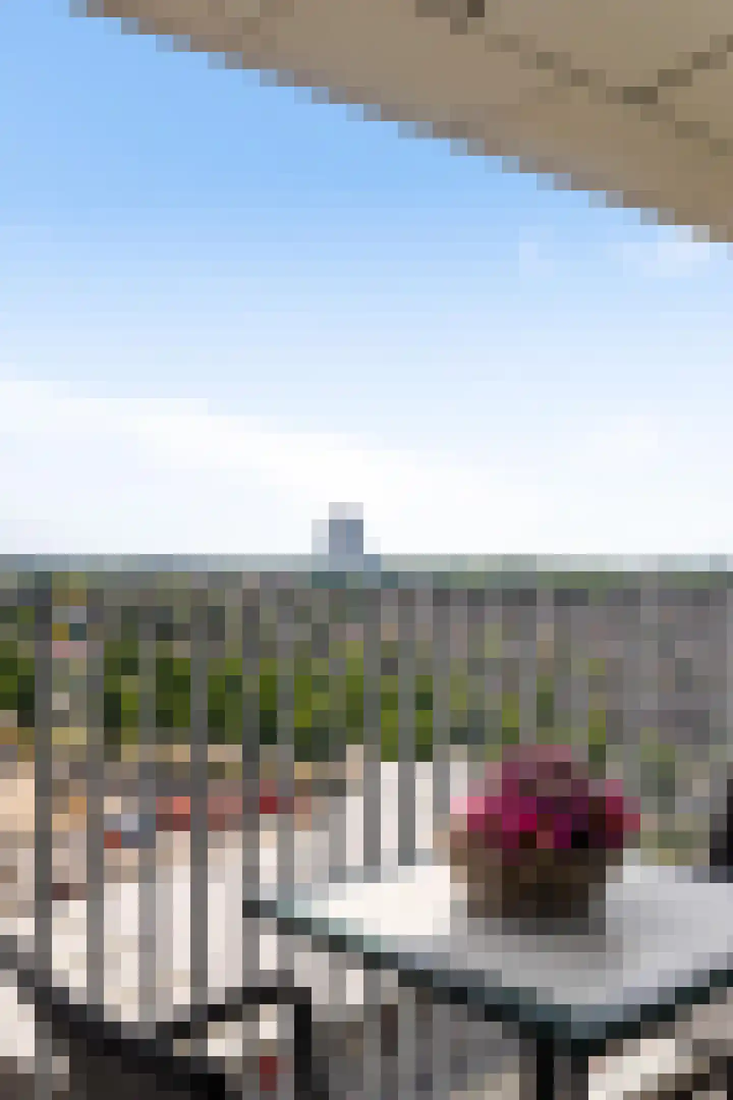 Het Hout 196 Groningen thumbnail 18