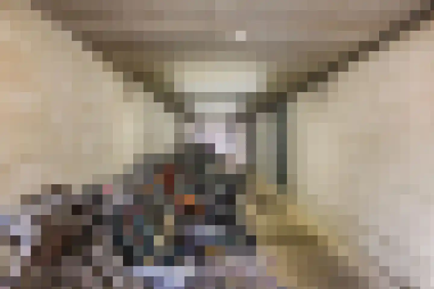 Het Hout 196 Groningen thumbnail 35