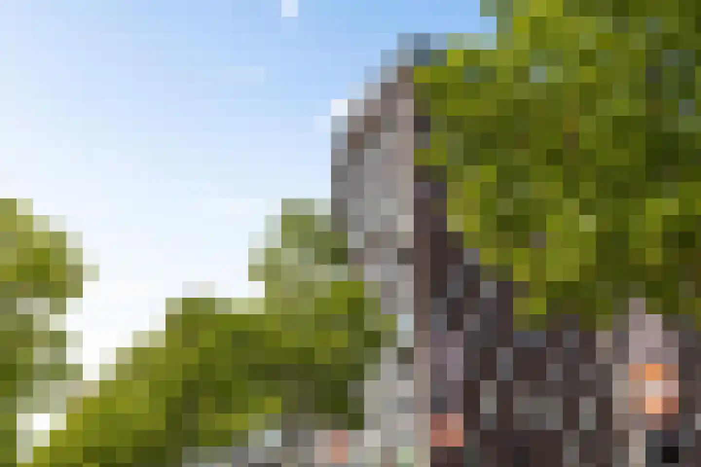 Het Hout 196 Groningen thumbnail 6