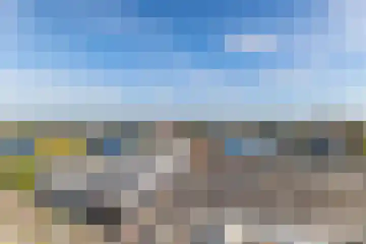 Het Hout 202 Groningen thumbnail 10