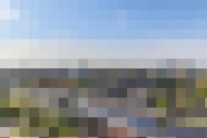 Het Hout 202 Groningen thumbnail 12