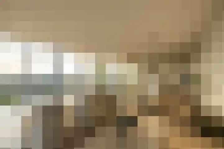 Het Hout 202 Groningen thumbnail 13