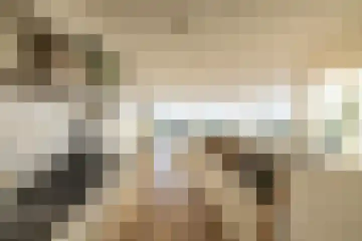 Het Hout 202 Groningen thumbnail 14