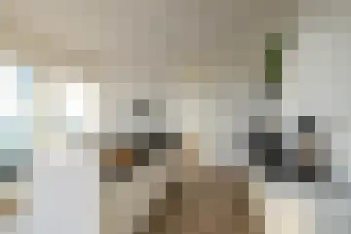 Het Hout 202 Groningen thumbnail 15