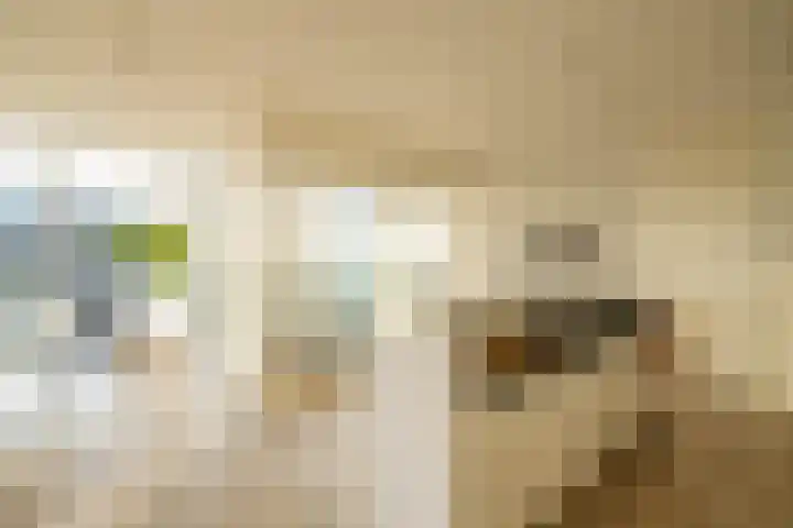 Het Hout 202 Groningen thumbnail 16