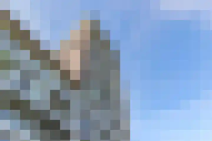 Het Hout 202 Groningen foto 2