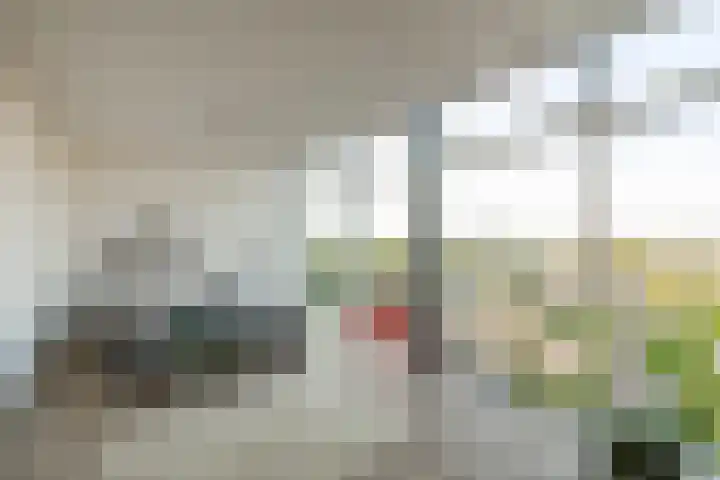 Het Hout 202 Groningen thumbnail 24