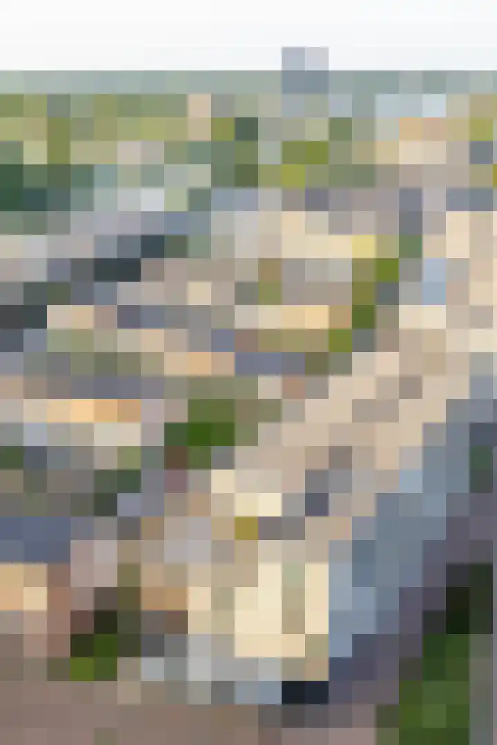 Het Hout 202 Groningen thumbnail 28