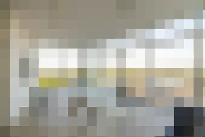 Het Hout 202 Groningen thumbnail 29