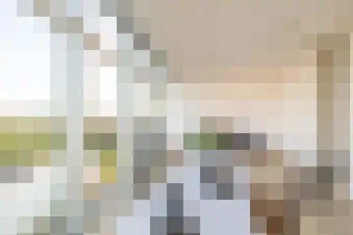 Het Hout 202 Groningen thumbnail 31