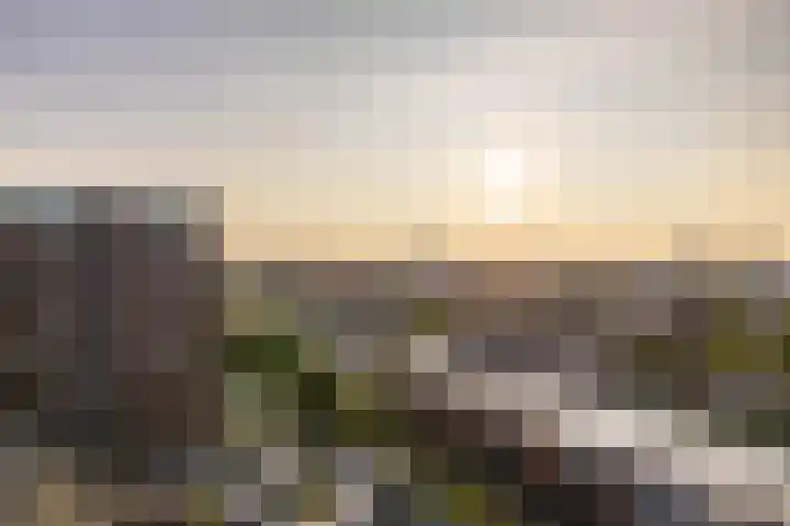 Het Hout 202 Groningen thumbnail 36