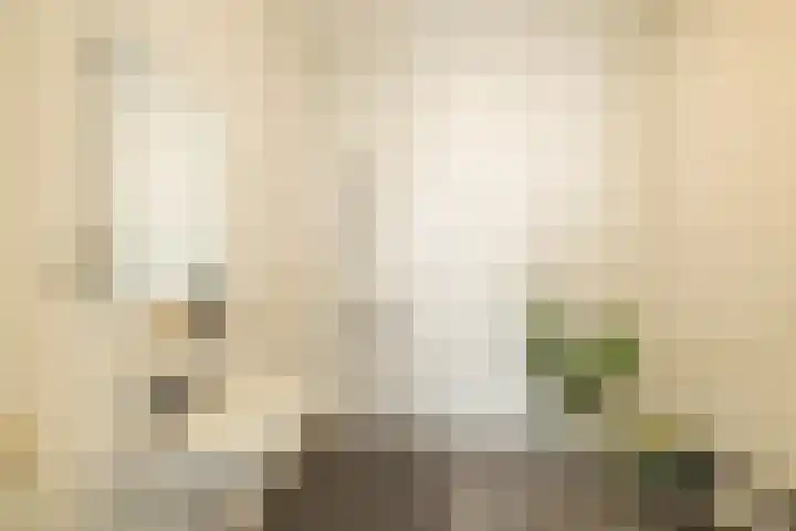 Het Hout 202 Groningen thumbnail 38
