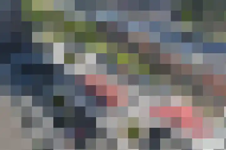 Het Hout 202 Groningen thumbnail 39