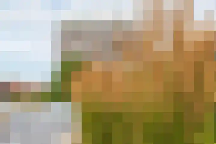 Het Hout 202 Groningen thumbnail 43