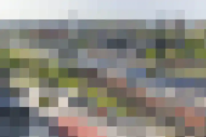 Het Hout 202 Groningen thumbnail 44