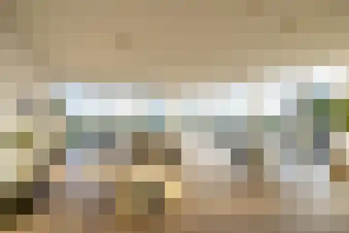 Het Hout 202 Groningen thumbnail 6