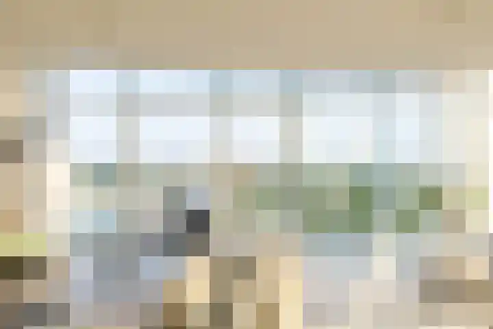 Het Hout 202 Groningen thumbnail 7