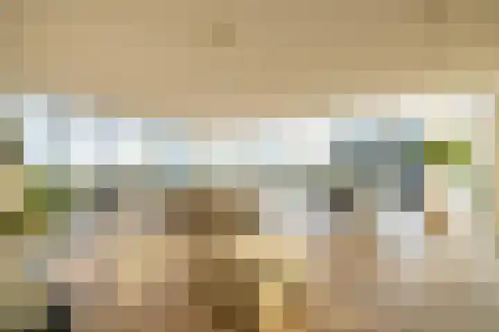 Het Hout 202 Groningen thumbnail 8