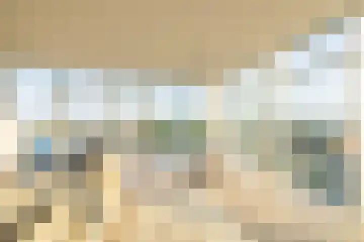 Het Hout 202 Groningen thumbnail 9
