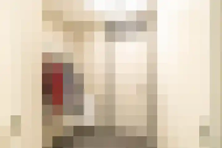 Het Hout 205 Groningen thumbnail 10