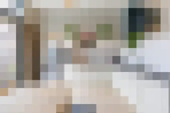 Het Hout 205 Groningen thumbnail 15