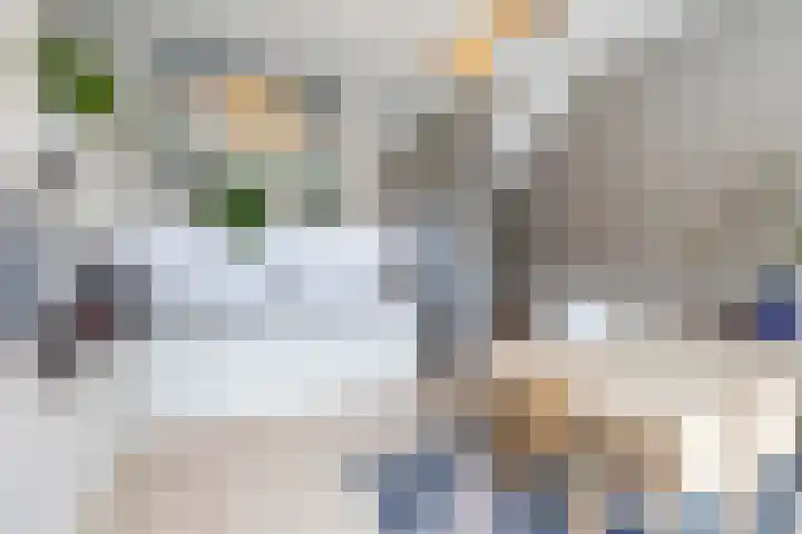 Het Hout 205 Groningen thumbnail 16