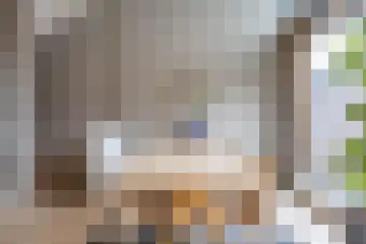 Het Hout 205 Groningen thumbnail 17