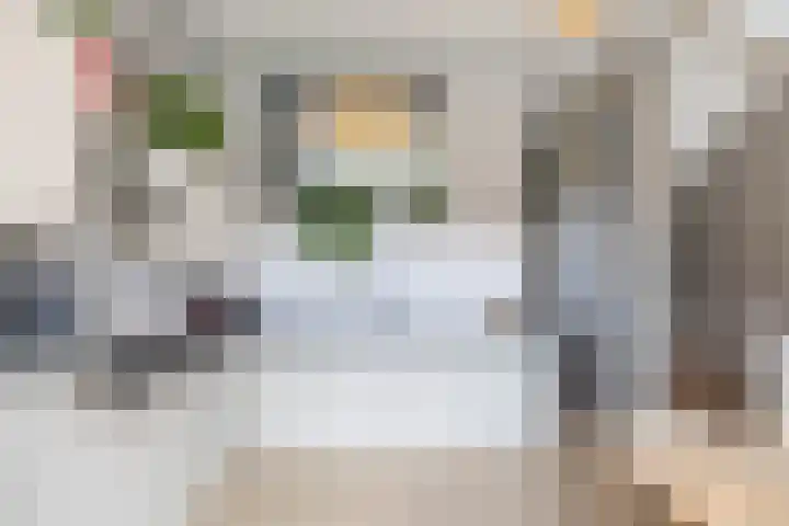 Het Hout 205 Groningen thumbnail 18