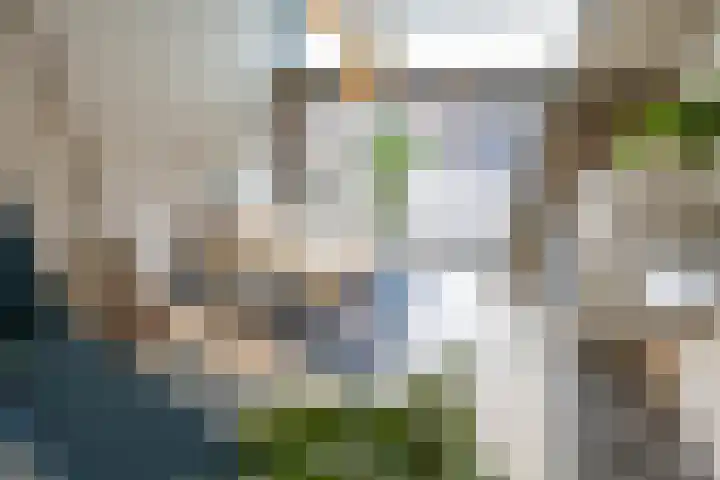 Het Hout 205 Groningen thumbnail 20