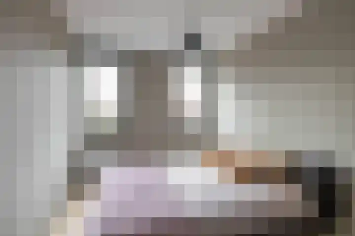 Het Hout 205 Groningen thumbnail 27