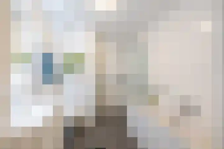 Het Hout 205 Groningen thumbnail 30