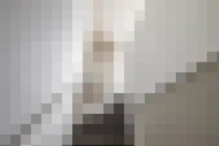 Het Hout 205 Groningen thumbnail 33
