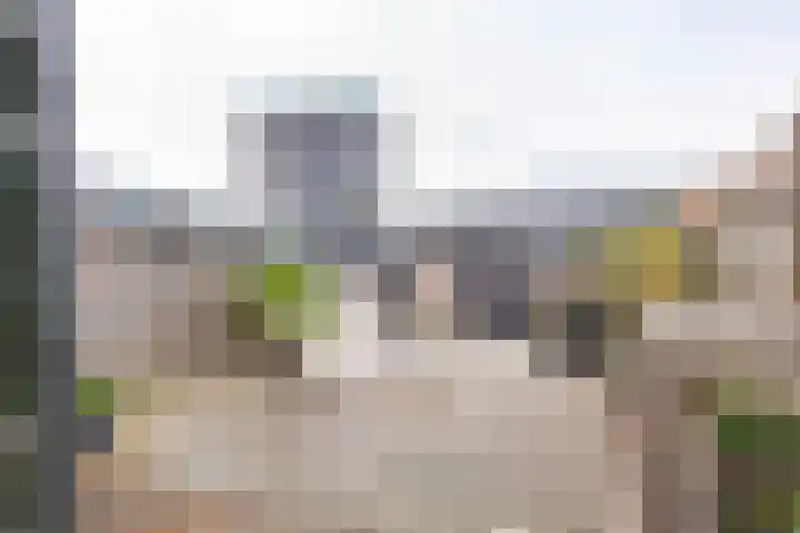 Het Hout 205 Groningen thumbnail 41