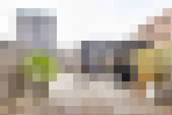 Het Hout 205 Groningen thumbnail 42