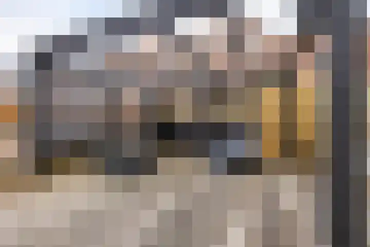 Het Hout 205 Groningen thumbnail 43