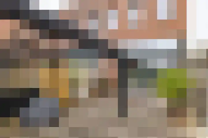 Het Hout 205 Groningen thumbnail 44