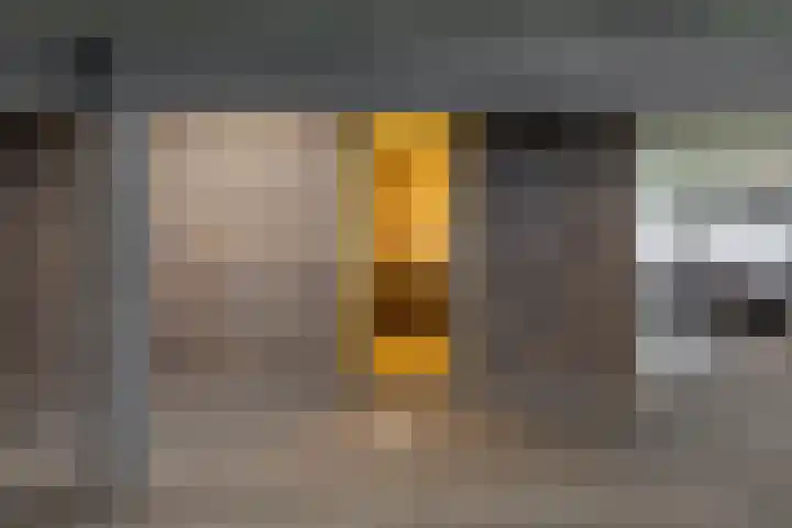 Het Hout 205 Groningen thumbnail 45