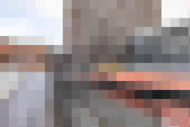 Het Hout 205 Groningen thumbnail 51