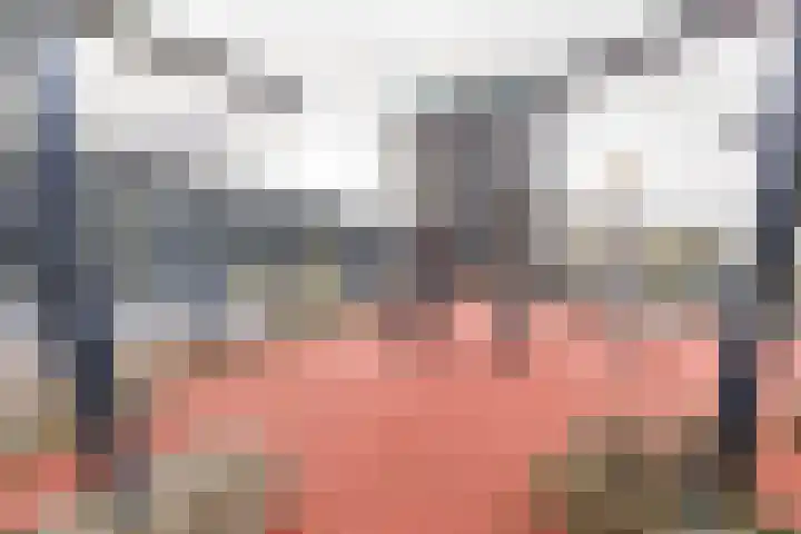 Het Hout 205 Groningen thumbnail 52