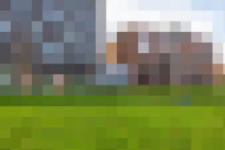 Het Hout 205 Groningen thumbnail 55