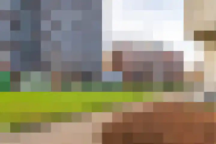 Het Hout 205 Groningen thumbnail 56